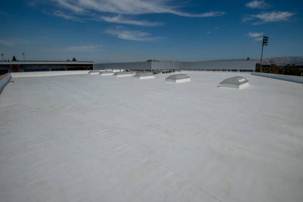 Best Roof Maintenance and Cleaning  in Mountain View, HI